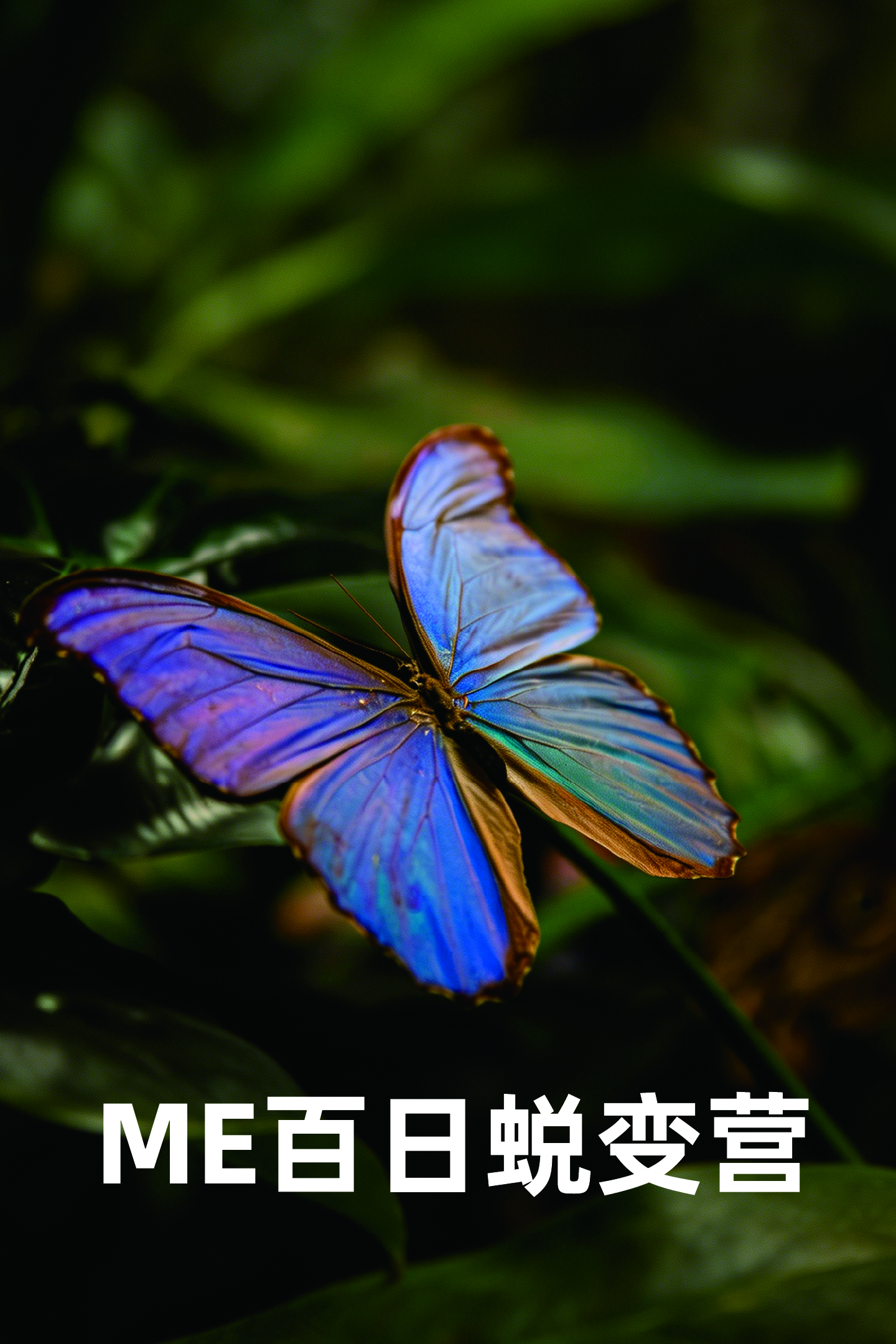【ME】生命觉醒·百日身心蜕变营